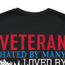 Veteran: Loved by Plenty, Hated by Many - Military Design T-Shirt with Heart, Fire, and Gratitude
