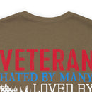 Veteran: Loved by Plenty, Hated by Many - Military Design T-Shirt with Heart, Fire, and Gratitude