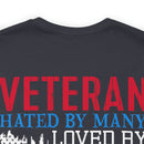 Veteran: Loved by Plenty, Hated by Many - Military Design T-Shirt with Heart, Fire, and Gratitude
