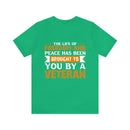 Freedom's Ambassador: Military Design T-Shirt - Brought to You by a Veteran