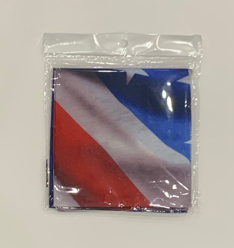 Neck Gaiter-America Flag Version 2 Gaiter.